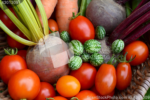 Image of Red tomatoes, rainbow beetroot, pepquino and carrots