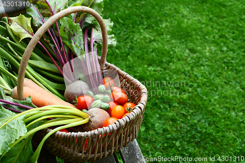 Image of Woven basket filled with freshly harvested vegetables from an al