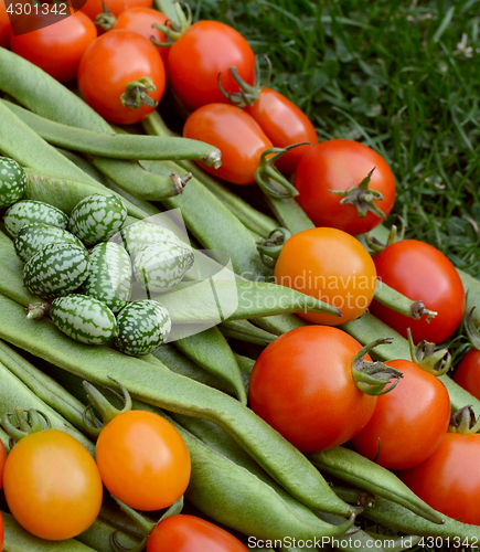Image of Handful of cucamelons with tomatoes and runner beans 
