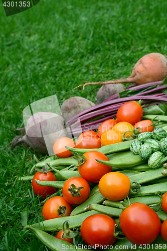 Image of Red and yellow tomatoes piled with beans, beetroot and cucamelon