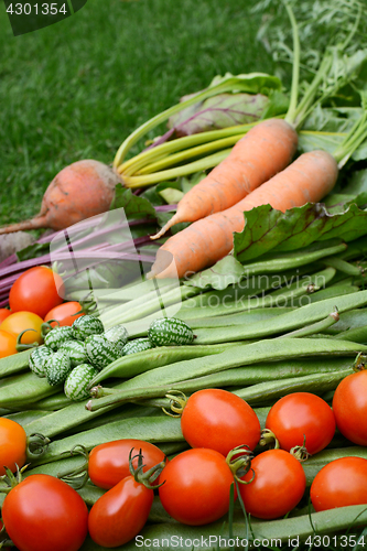Image of Ripe red tomatoes in selective focus with fresh vegetables