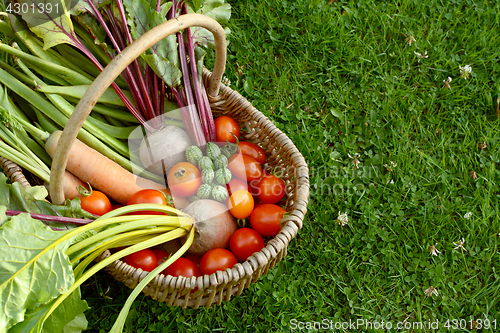 Image of Rustic basket filled with fresh vegetables from an allotment