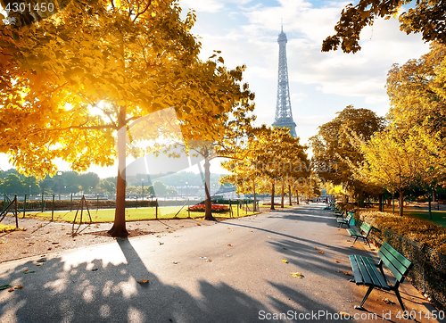 Image of Sunny morning in Paris in autumn