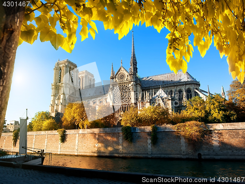 Image of Famous Notre Dame in autumn