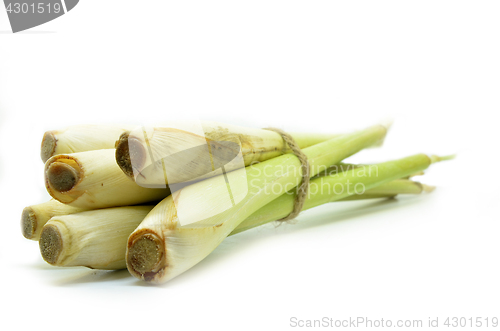 Image of Bundle of lemon grass