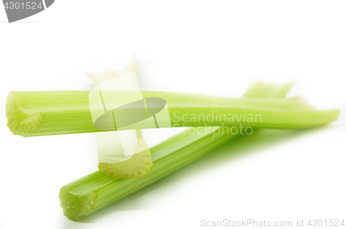 Image of Fresh green celery