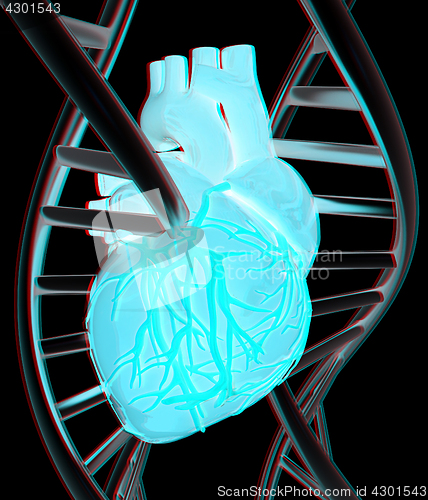 Image of DNA and heart. 3d illustration. Anaglyph. View with red/cyan gla