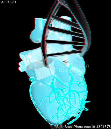 Image of DNA and heart. 3d illustration. Anaglyph. View with red/cyan gla