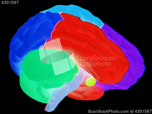 Image of creative concept with 3d rendered colourful brain. Anaglyph. Vie