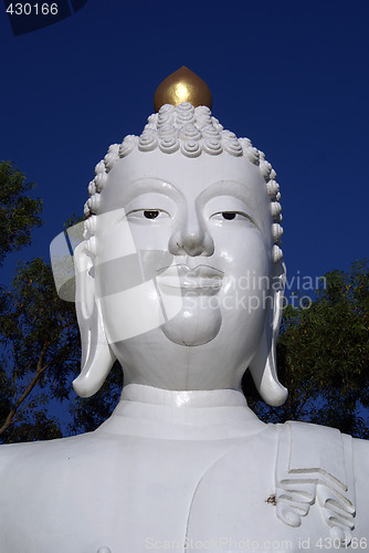 Image of Head of Buddha