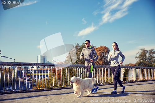 Image of happy couple with dog running outdoors