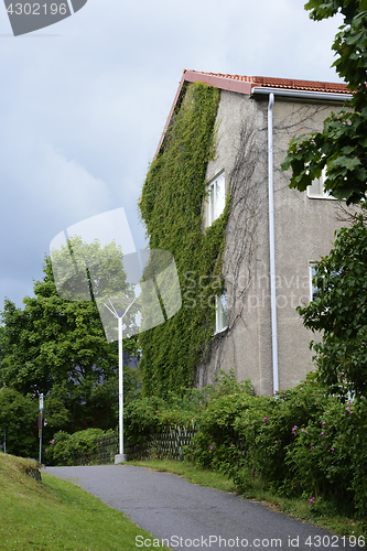 Image of two storeyed house with ivy