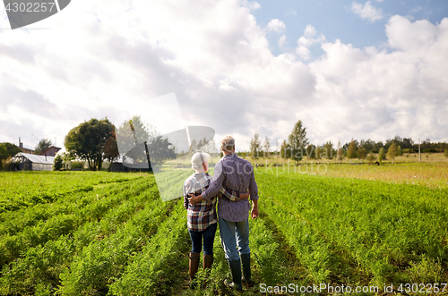 Image of happy senior couple at summer farm