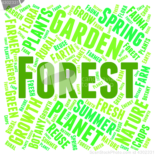 Image of Forest Word Means Trees Copice And Park