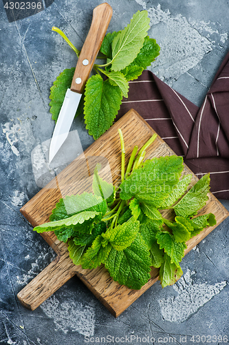 Image of fresh mint