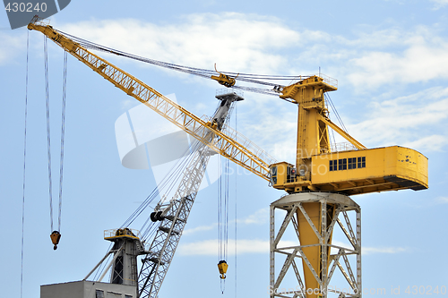 Image of Cranes