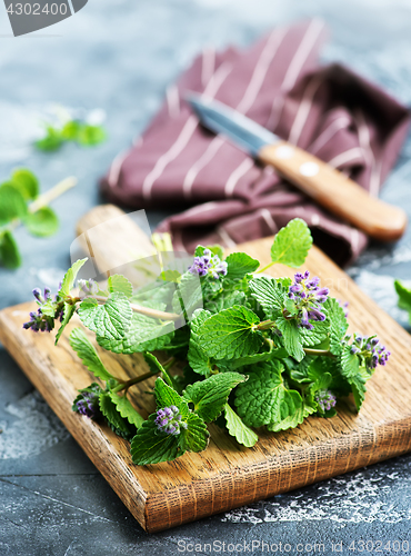 Image of aroma herb