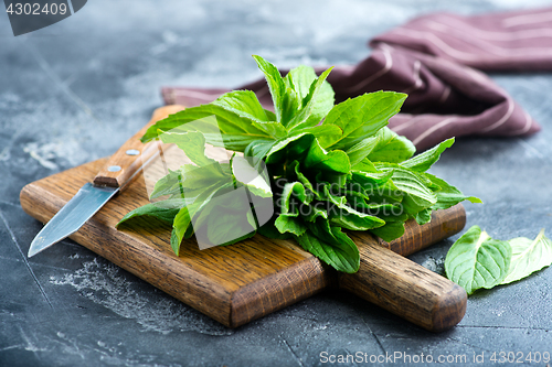 Image of fresh mint