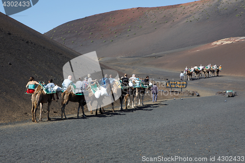 Image of Landscape Lanzarote