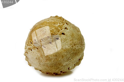 Image of Chewing ball