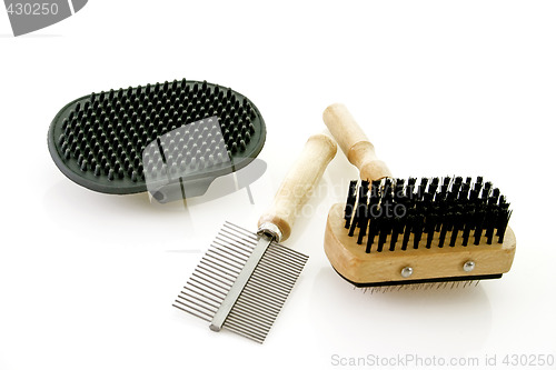 Image of Dog brushing tools