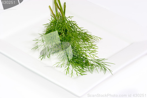 Image of Fresh dill