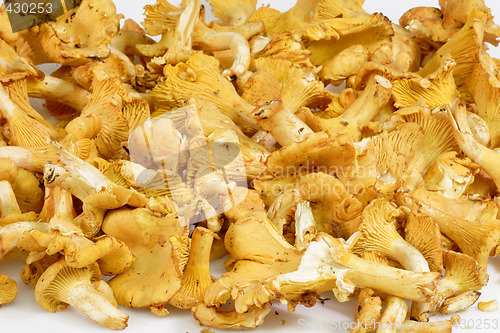 Image of Golden chanterelle