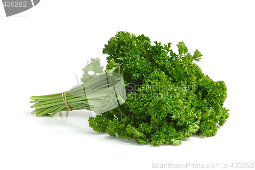 Image of Parsley