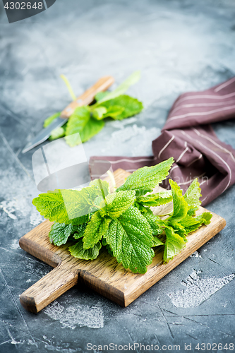 Image of fresh mint