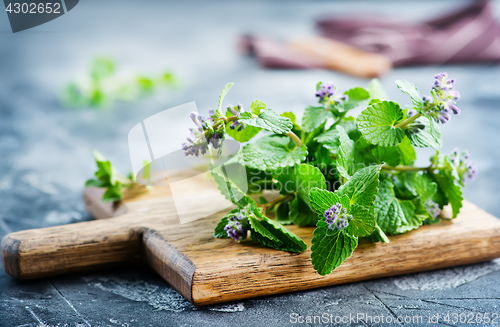 Image of aroma herb