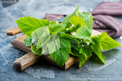 Image of fresh mint