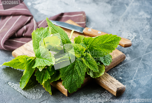 Image of fresh mint