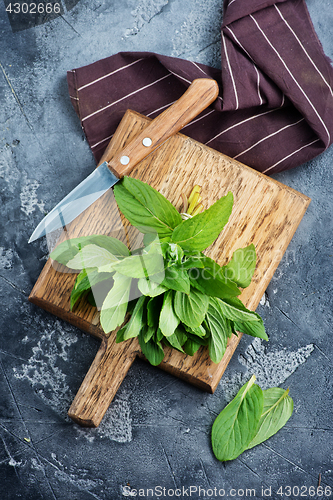 Image of fresh mint