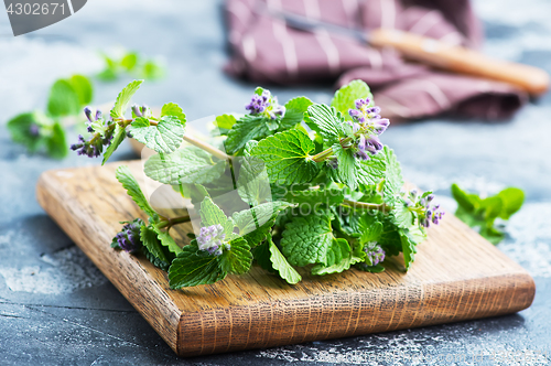 Image of aroma herb