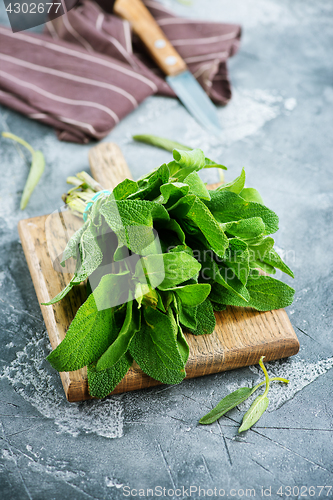 Image of fresh sage