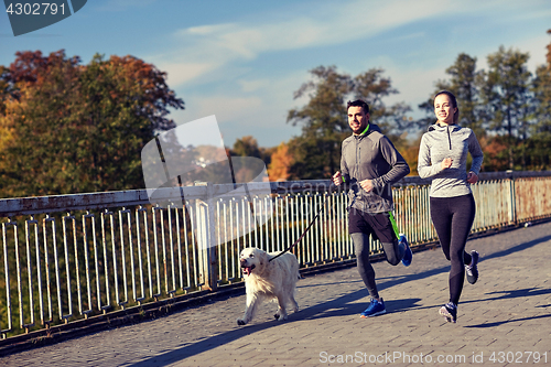 Image of happy couple with dog running outdoors