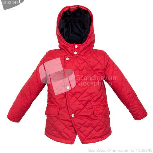 Image of Women winter jacket