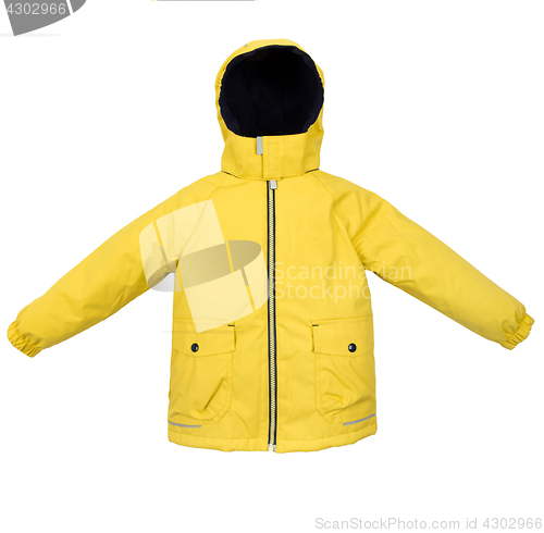 Image of Women winter jacket