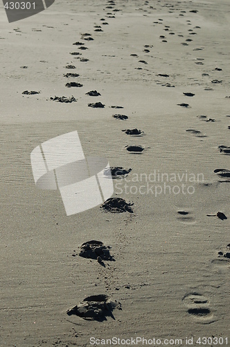 Image of steps in sand