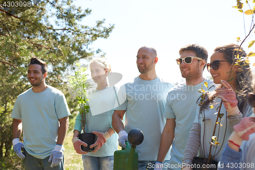 Image of group of volunteers with tree seedlings in park