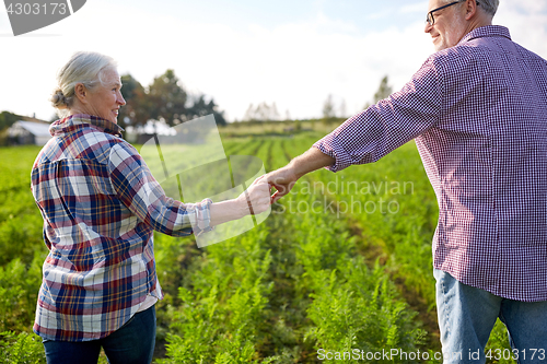 Image of happy senior couple holding hands at summer farm