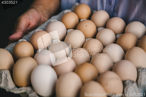 Image of Close-up of eggs in carton