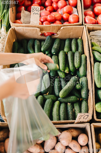 Image of Crop person buying vegetables