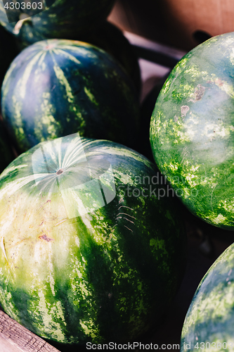 Image of Watermelons in box for sale