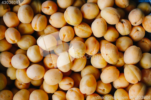 Image of Ripe apricots lying in heap