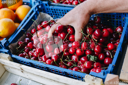 Image of Crop person buying cherry