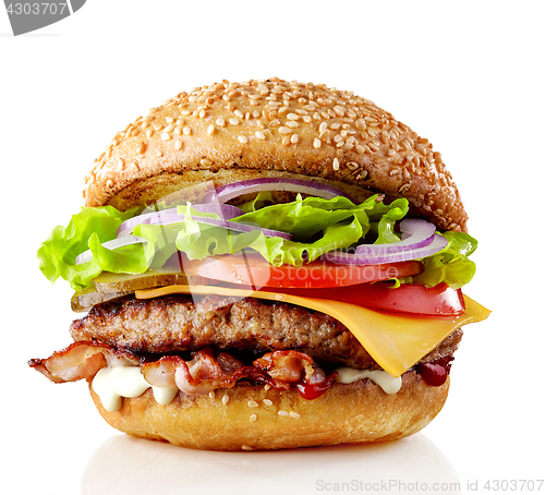 Image of fresh tasty burger