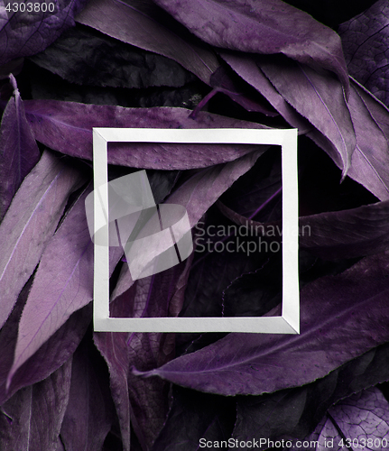 Image of Purple leaves with white border