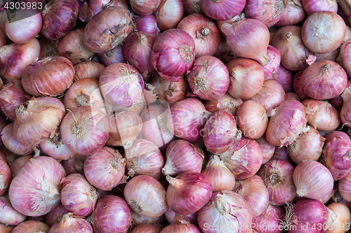 Image of Red onions in plenty on display at local farmer\'s market.