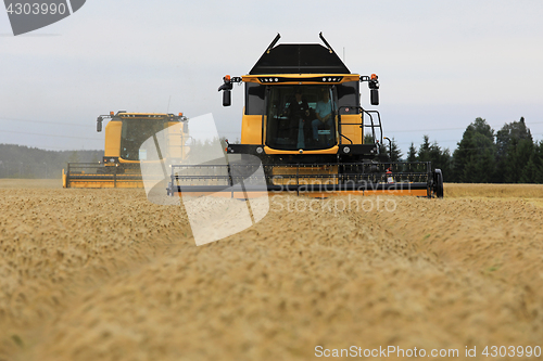 Image of Two Yellow New Holland Combines on Field